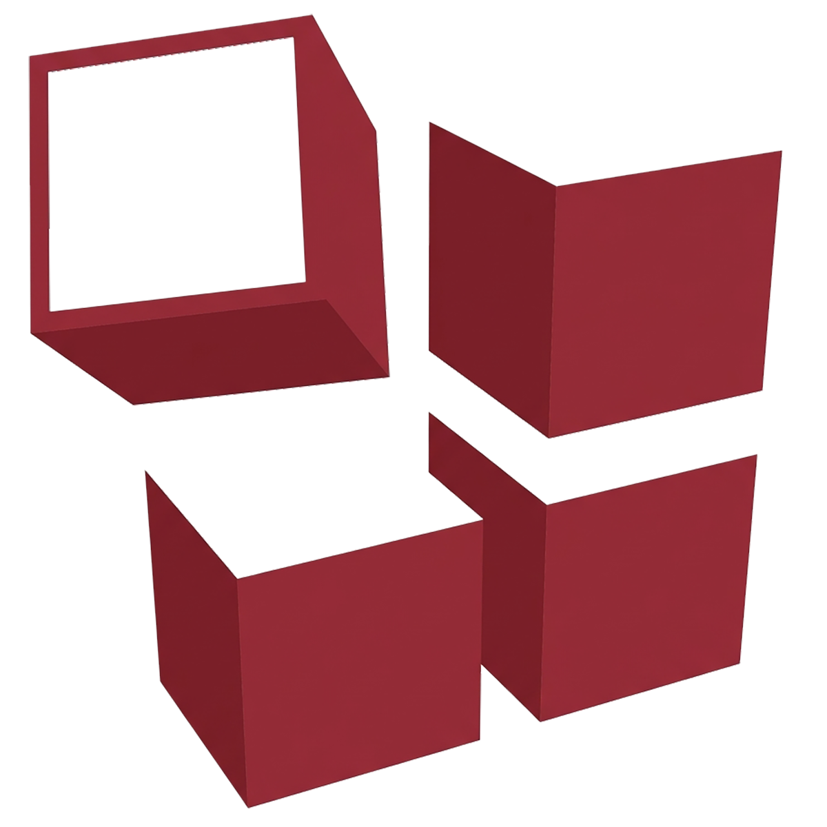 Data Systems Group Logo